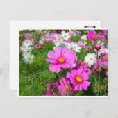 Kosmos [Briefkaart] Briefkaart (Voorkant / Achterkant)