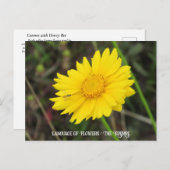 Kosmos met Briefkaart bij bijen (Voorkant / Achterkant)