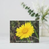 Kosmos met Briefkaart bij bijen (Staand voorkant)