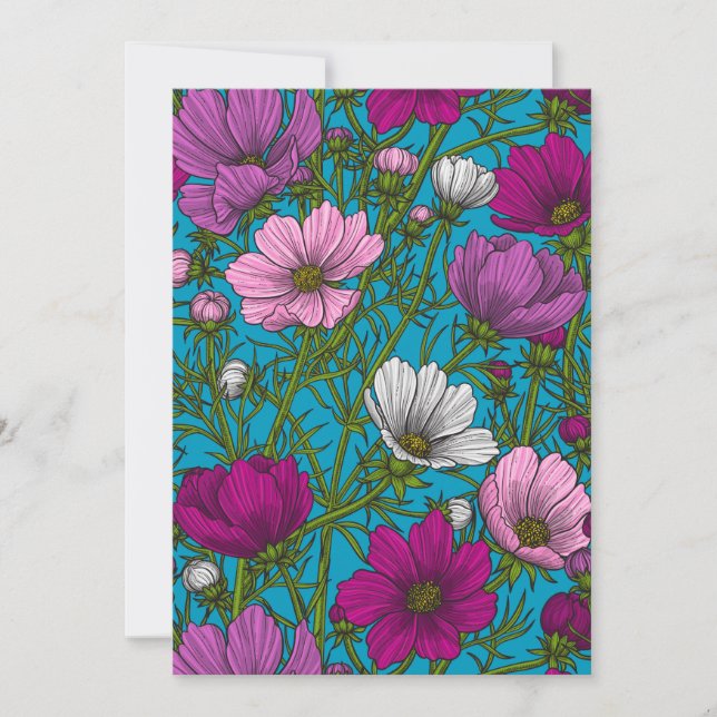 Kosmos-mix op blauw (Voorkant)