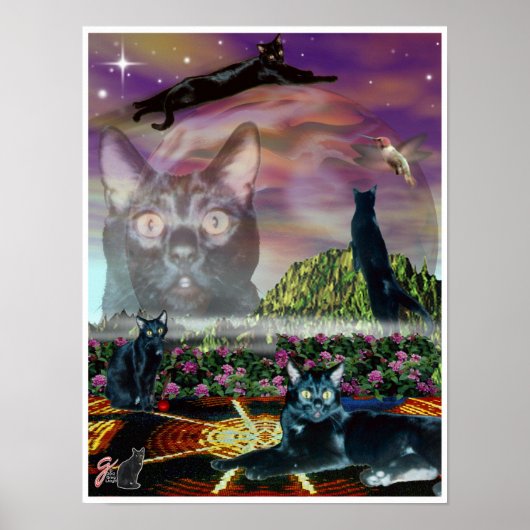 Kosmos Poster (Voorkant)