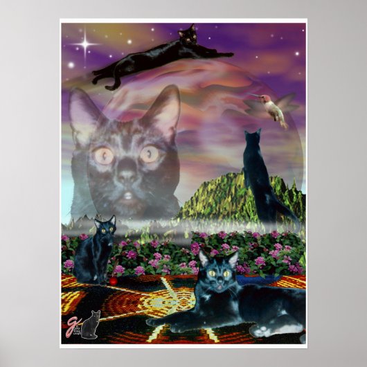 Kosmos Poster (Voorkant)