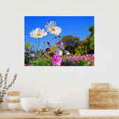 Kosmos [Poster] Poster (Keuken)