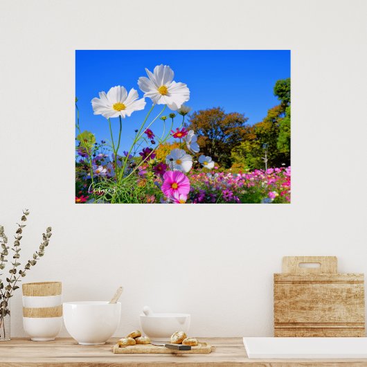 Kosmos [Poster] Poster (Keuken)