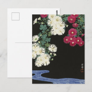 Koson Chrysanthemum Tuin Japanse Bloemen Kunst Briefkaart