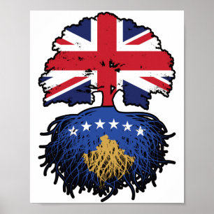 Kosovo Kosovo Kosovo Brits Verenigd Koninkrijk Ver Poster