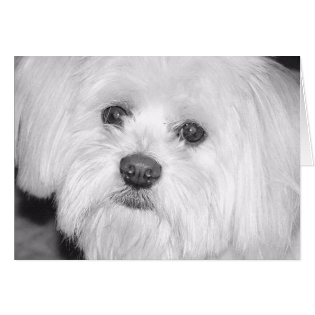 kostbaar (Voorkant Horizontaal)