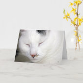 Kostbare 2, worden goed spoedig kaart (Gele Bloem)