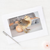 Kostbare Baby Chick en Eggs Rechthoekige Sticker (Envelop)