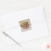 Kostbare lieve kleine kitten stickers (Envelop)