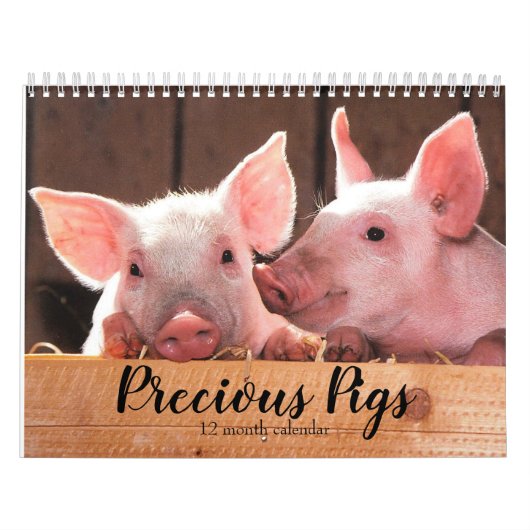 Kostbare Varkens 2026 Kalender (Hoes)