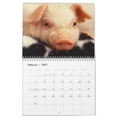 Kostbare Varkens 2026 Kalender (Feb 2027)
