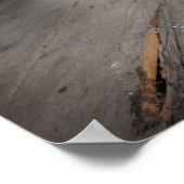 Kosten van schatten poster (Hoek)