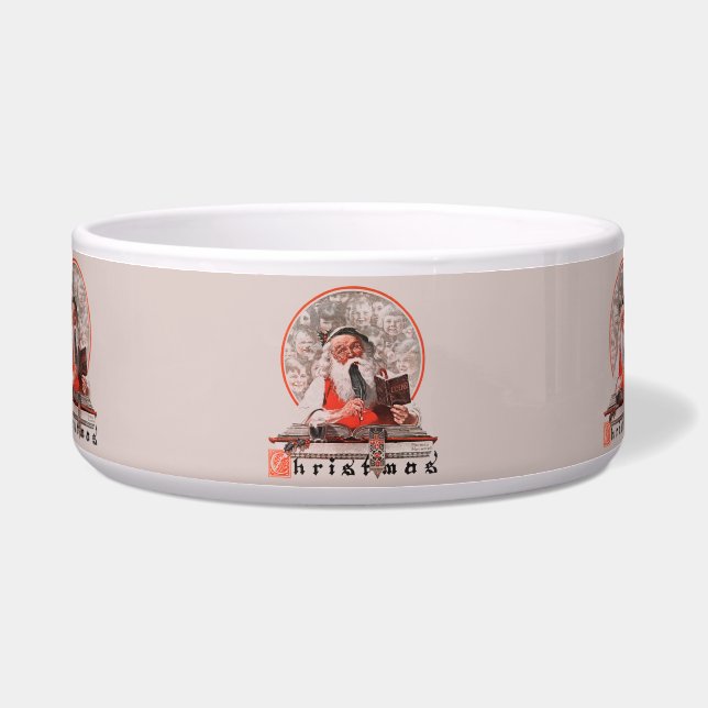 Kosten voor de kerstman voerbakje (Voorkant)