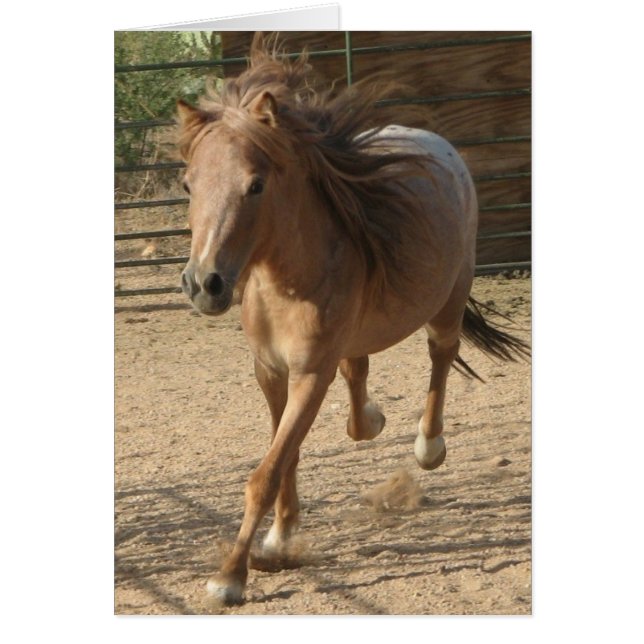 Kota en cours (Devant)