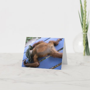 Kou uit voor Beste Papa Kaart