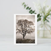 koud en mooi briefkaart (Staand voorkant)