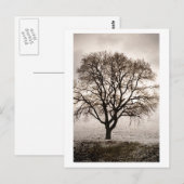 koud en mooi briefkaart (Voorkant / Achterkant)