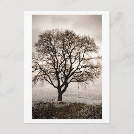 koud en mooi briefkaart