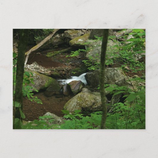 Koud water briefkaart (Voorkant)