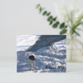 Koude papaver briefkaart (Staand voorkant)