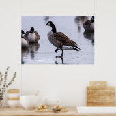 Koude Voeten Poster (Keuken)