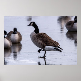 Koude Voeten Poster