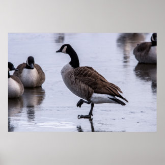 Koude Voeten Poster