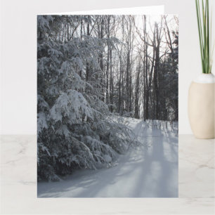 Koude vroege winterochtend blanco kaart