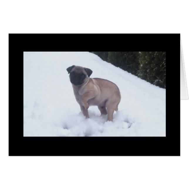 Koudfeet (Voorkant Horizontaal)