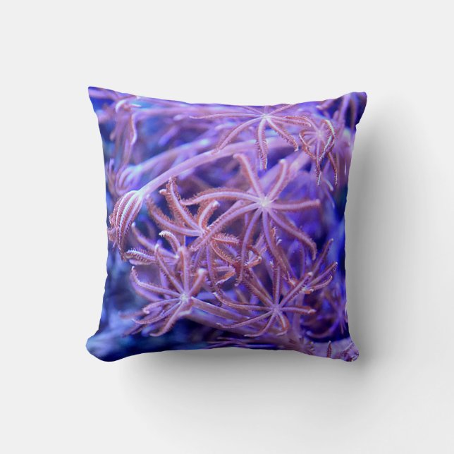 Koudkoraalriffen Kussen (Voorkant)