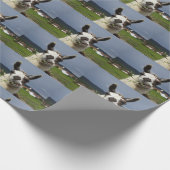 Koudste Comical Llama ooit Cadeaupapier (Hoek)