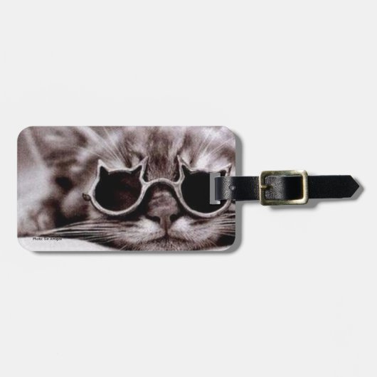 Koudste kat levend Bagagelabel (Voorkant horizontaal)