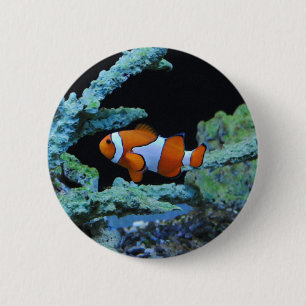 Koudvis in koraal ronde button 5,7 cm