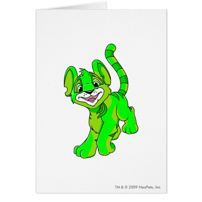 Kougra Glows (Voorkant)