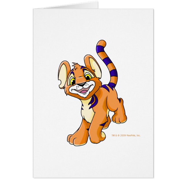 Kougra orange aventureux (Devant)