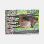 Kow Elk Fleece Deken (Voorkant (Horizontaal))