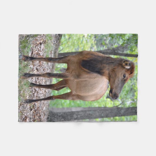 Kow Elk Fleece Deken (Voorkant (Horizontaal))
