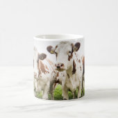 Kow Herd Group Foto Mok (Center)