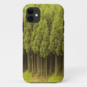 Koya Sugi Cedar Trees iPhone 11 Hoesje