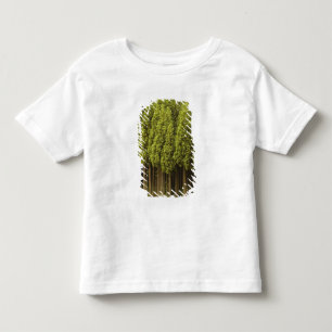 Koya Sugi Cedar Trees Kinder Shirts
