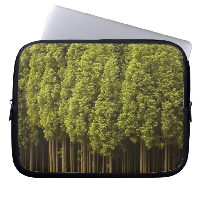 Koya Sugi Cedar Trees Laptop Sleeve (Voorkant)