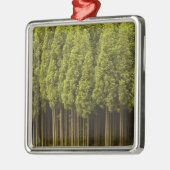 Koya Sugi Cedar Trees Metalen Ornament (Links)