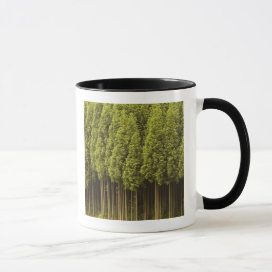 Koya Sugi Cedar Trees Mok (Rechts)