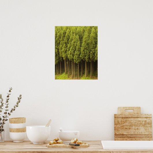 Koya Sugi Cedar Trees Poster (Keuken)