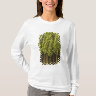 Koya Sugi Cedar Trees T-shirt