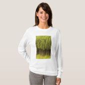 Koya Sugi Cedar Trees T-shirt (Voorkant volledig)