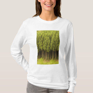 Koya Sugi Cedar Trees T-shirt