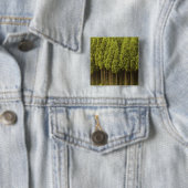 Koya Sugi Cedar Trees Vierkante Button 5,1 Cm (In situ)