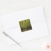 Koya Sugi Cedar Trees Vierkante Sticker (Envelop)